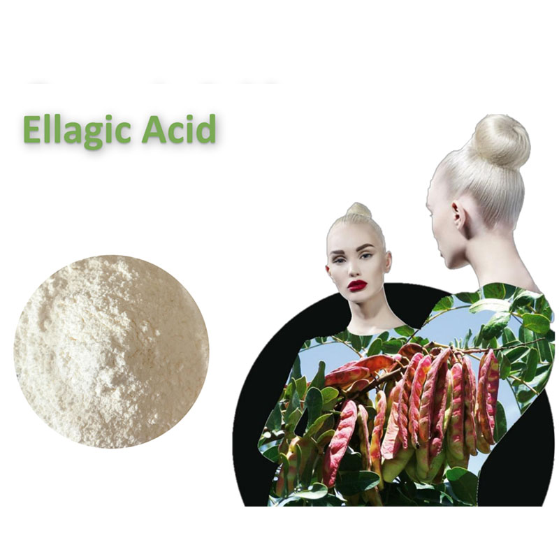 Axit Ellagic CAS 476-66-4